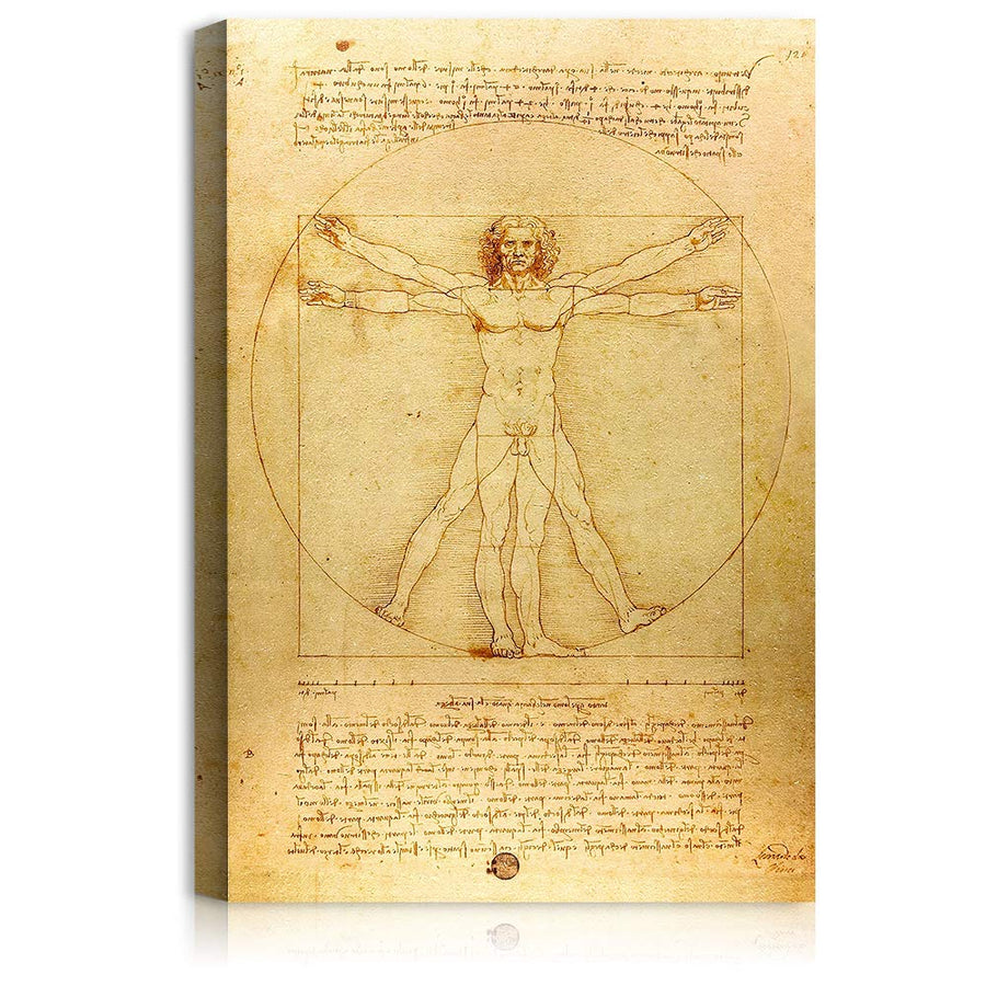 Hombre de Vitruvio - Leonardo da Vinci