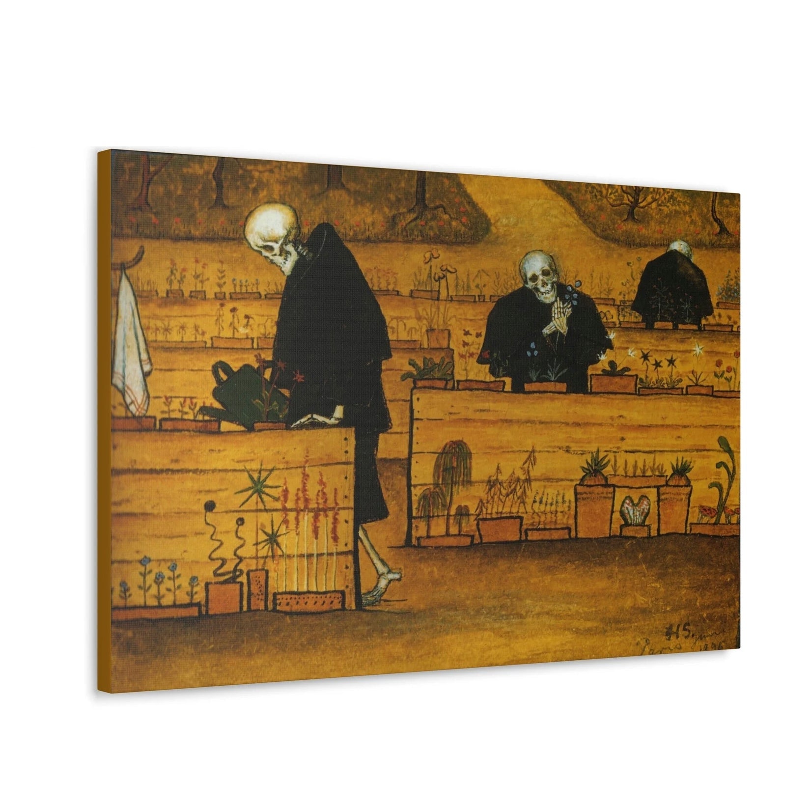 Zoom