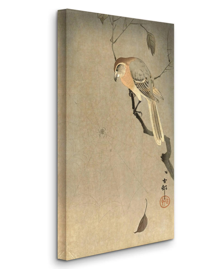 Alcaudón y araña con cabeza de toro - Ohara Koson