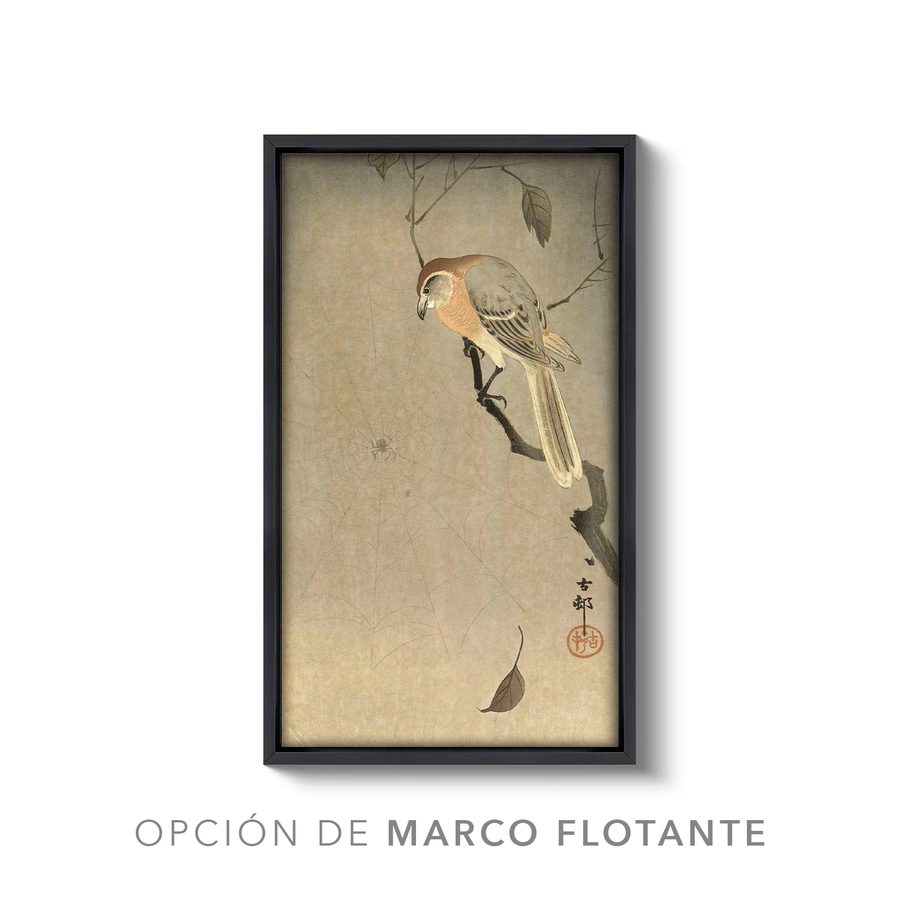 Alcaudón y araña con cabeza de toro - Ohara Koson