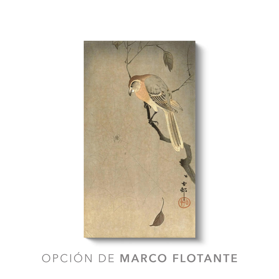 Alcaudón y araña con cabeza de toro - Ohara Koson