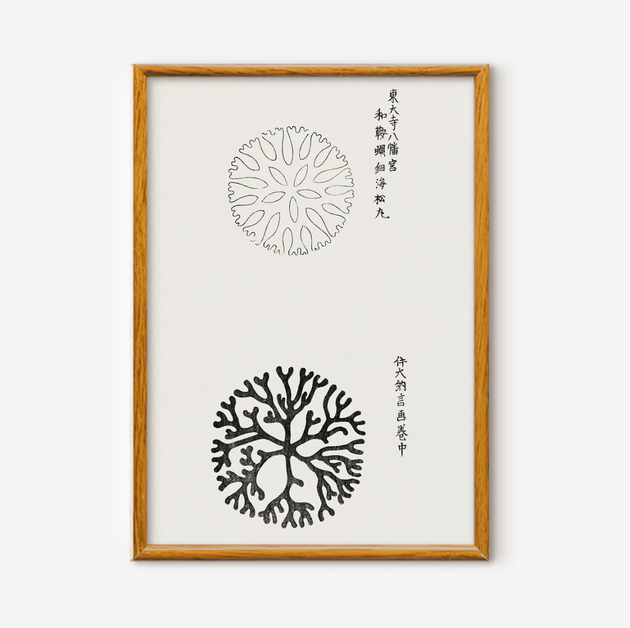 Yatsuo no tsubaki, Taguchi Tomoki