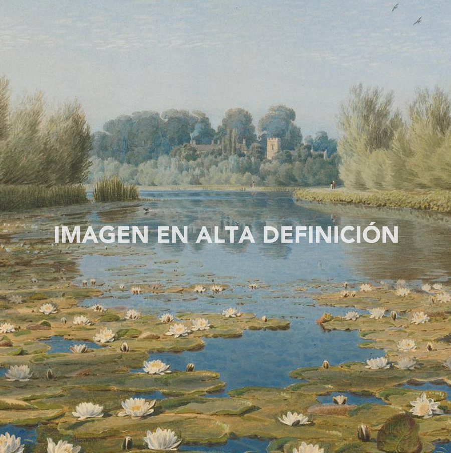 Estanque de río con flores de loto - William Turner