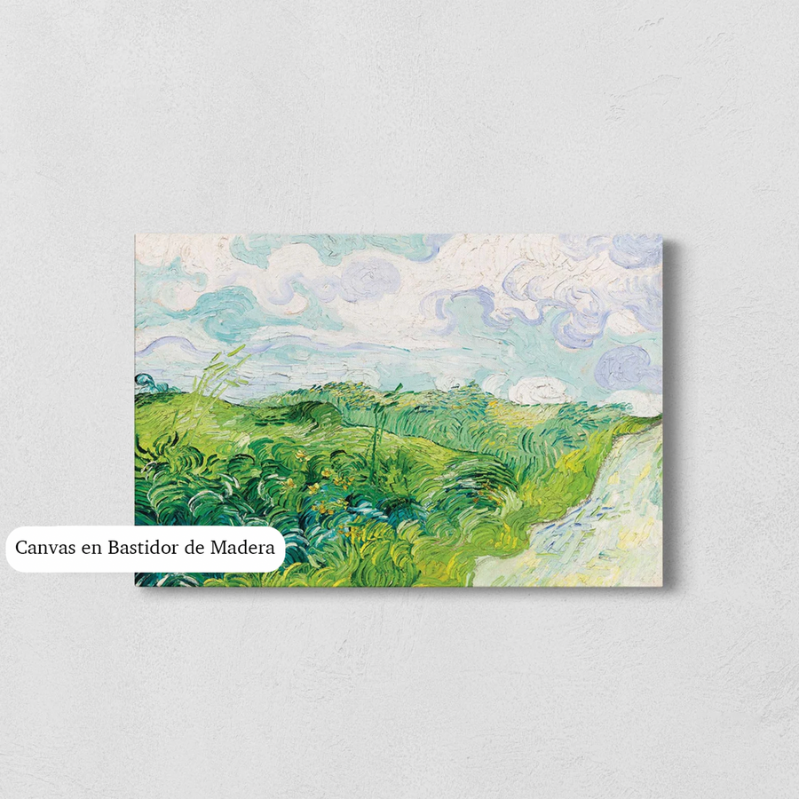 Campos De Trigo - Van Gogh