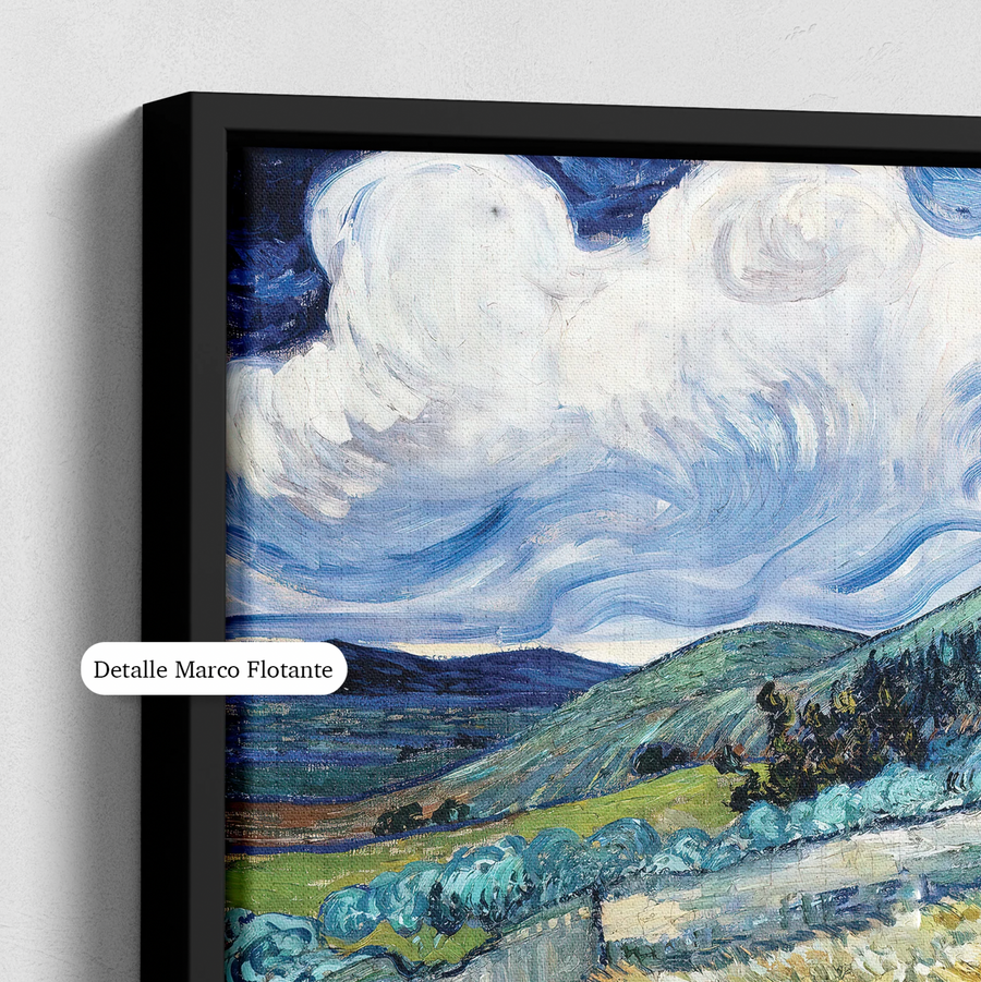 Paisaje de Saint-Remy - Vincent Van Gogh