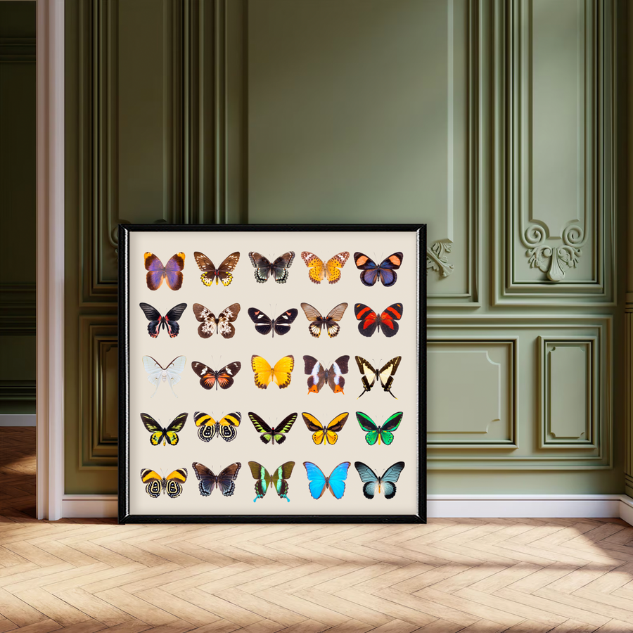 Colección Mariposas Vintage