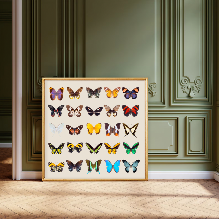 Colección Mariposas Vintage