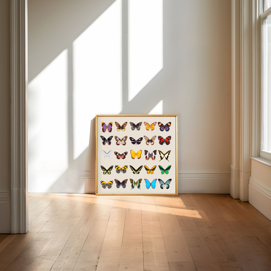 Colección Mariposas Vintage