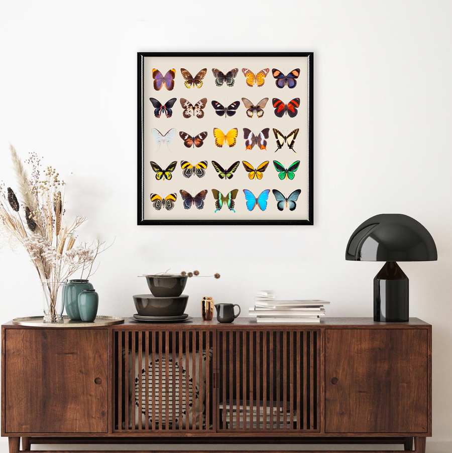 Colección Mariposas Vintage