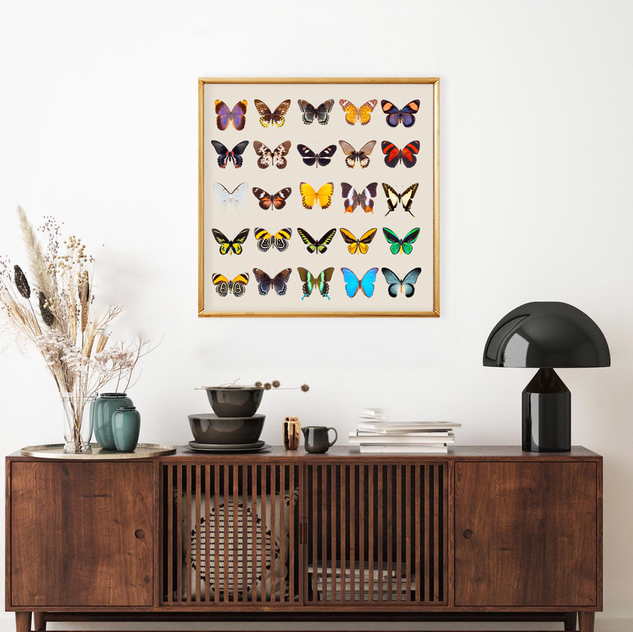Colección Mariposas Vintage