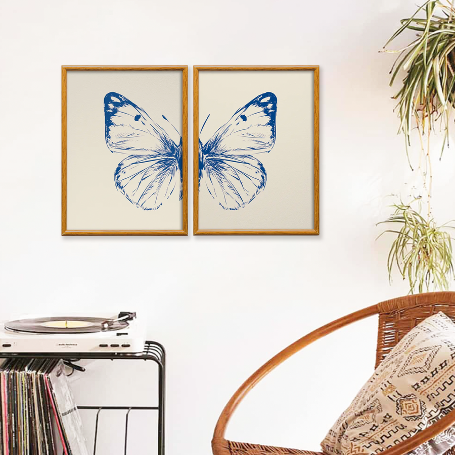 Estudio Mariposa Azul Set