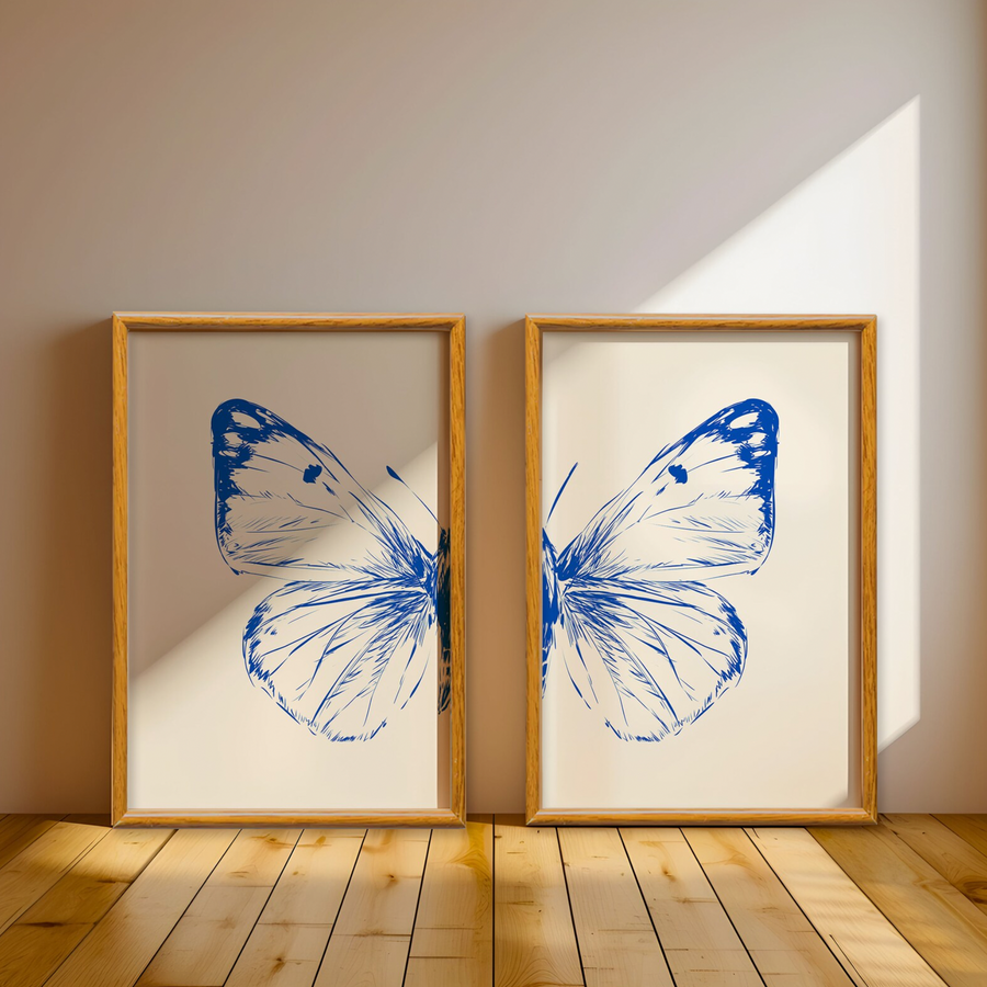 Estudio Mariposa Azul Set