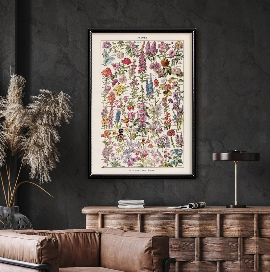 Fleurs Vintage Cartel Botánico - Adolphe Millot