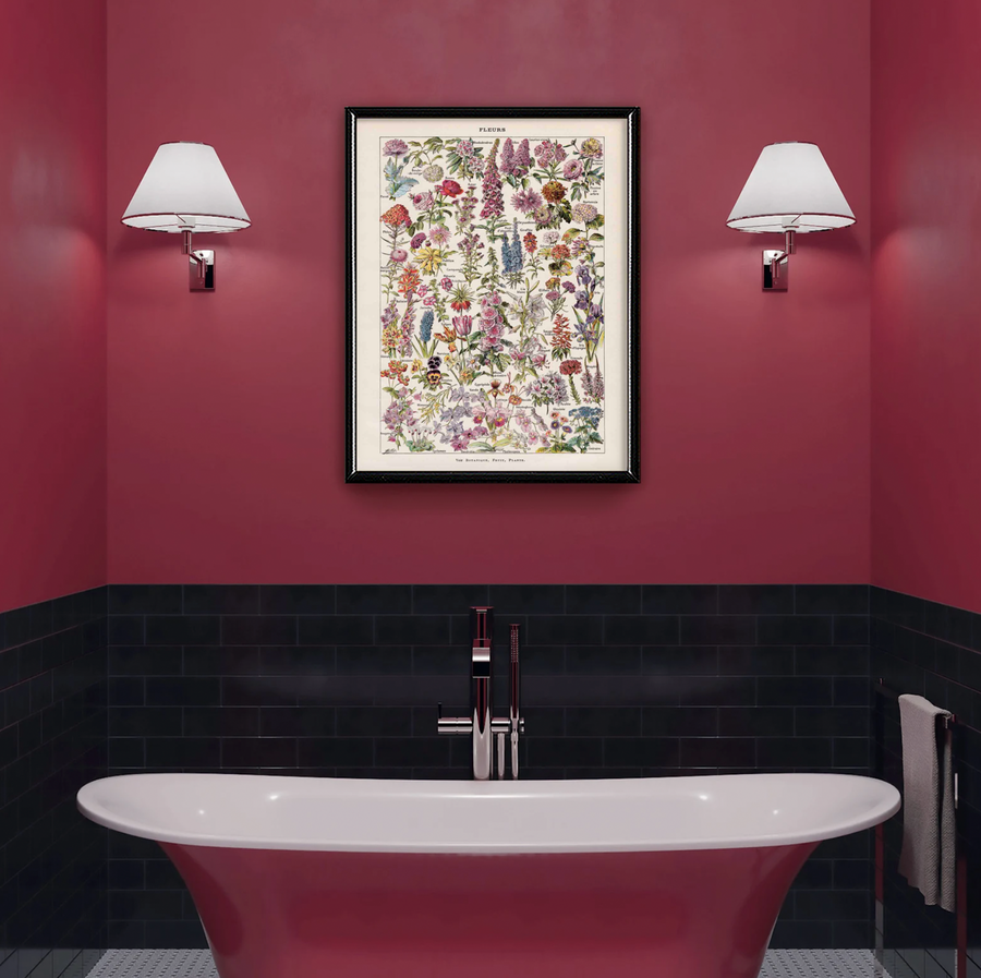 Fleurs Vintage Cartel Botánico - Adolphe Millot