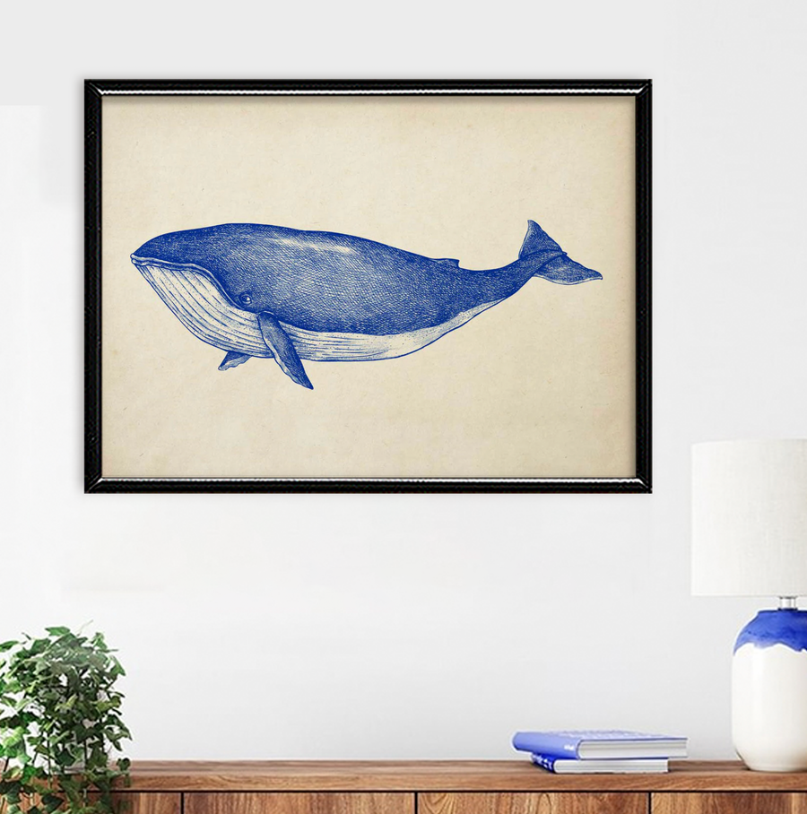 Ballena Azul