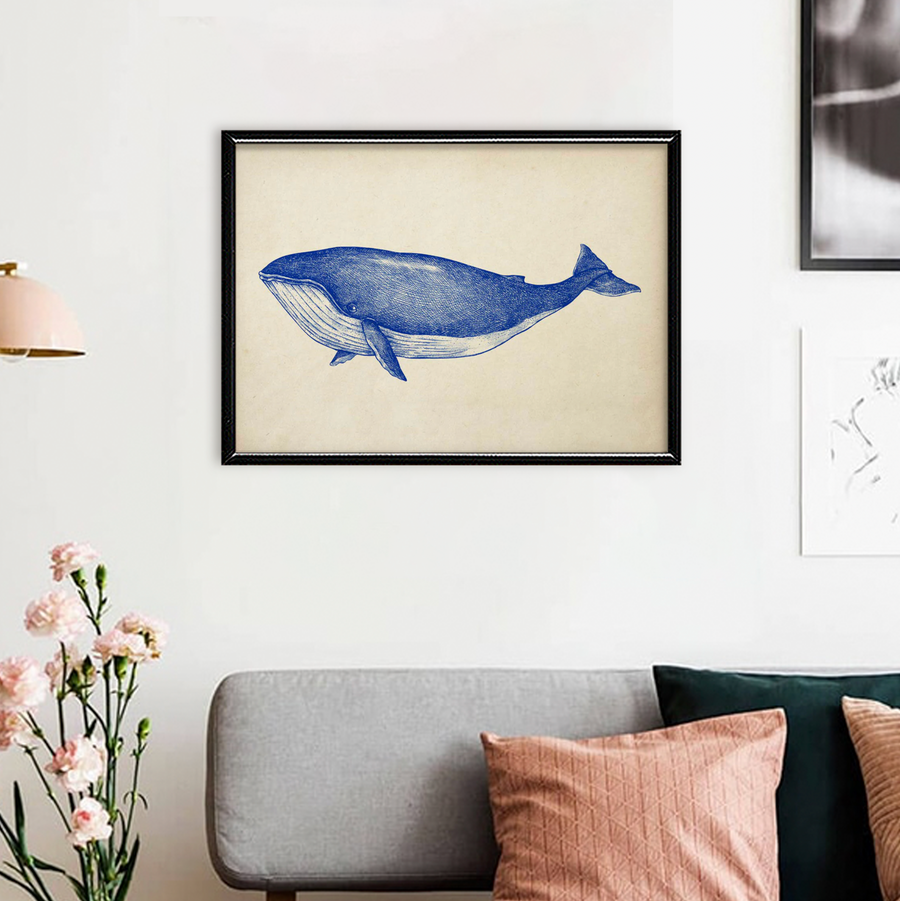 Ballena Azul