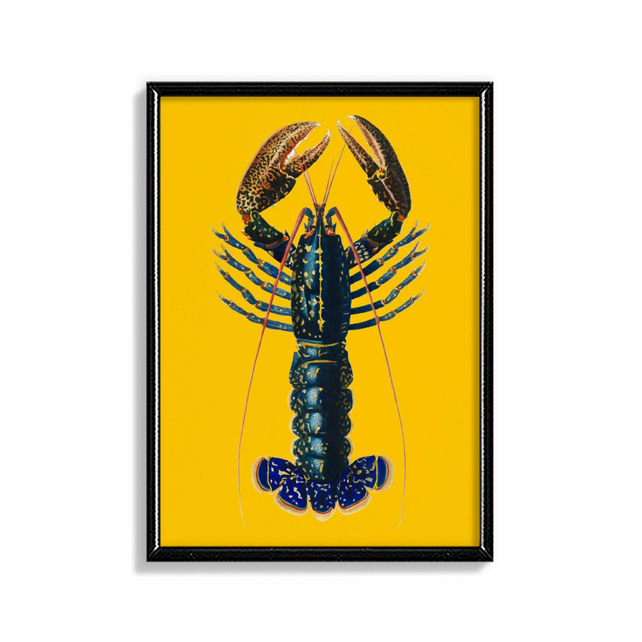Langosta Amarilla (Lobster)