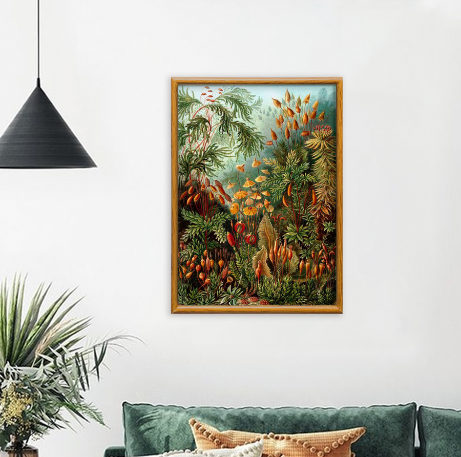 Bosque de Hongos