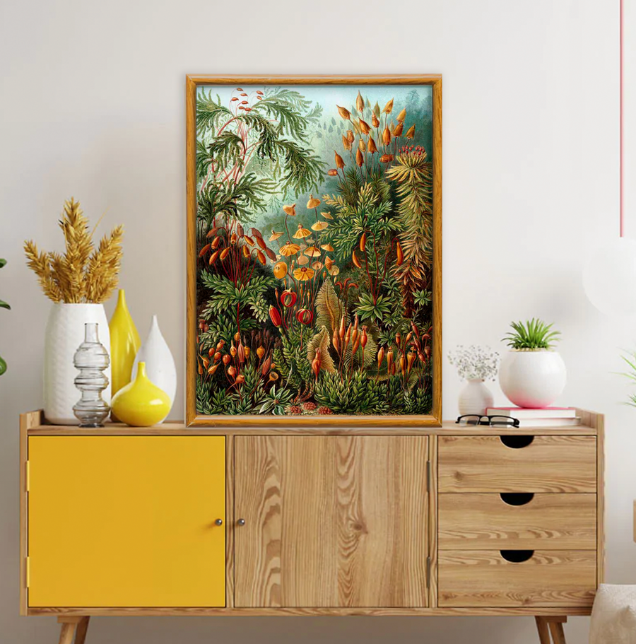 Bosque de Hongos