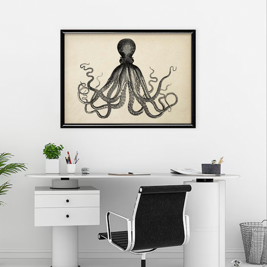 Pulpo