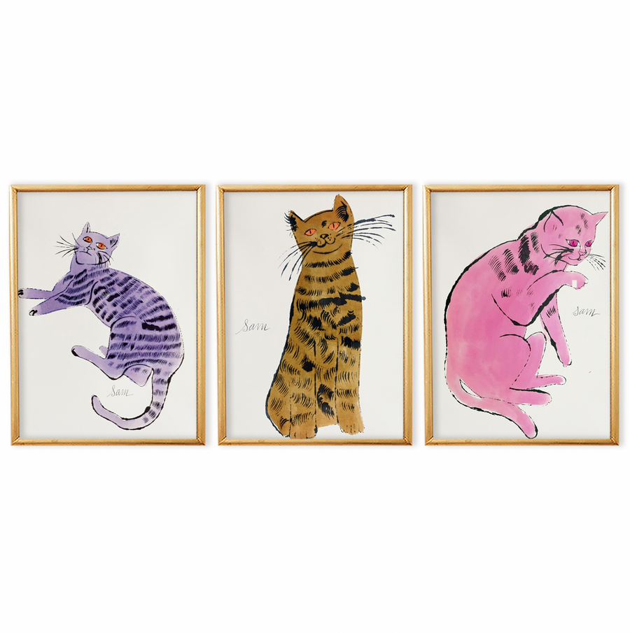 Sam Cat Andy Warhol Set de 3