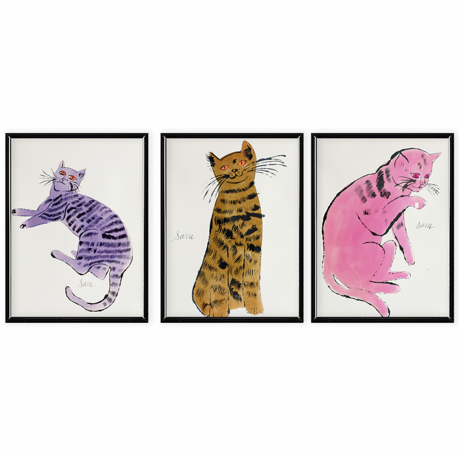 Sam Cat Andy Warhol Set de 3
