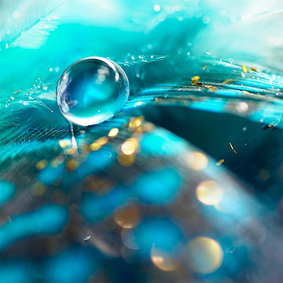 Water Drop