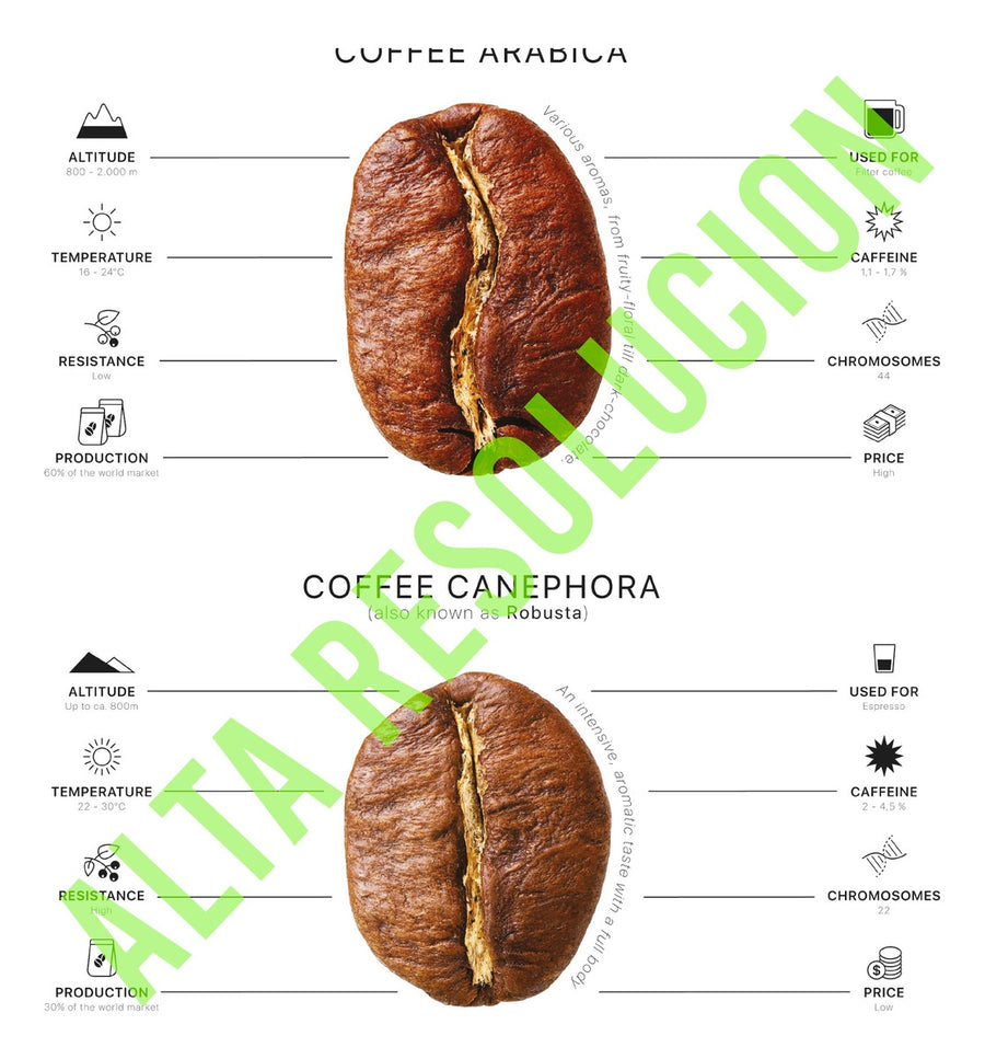 Coffee Guide Set