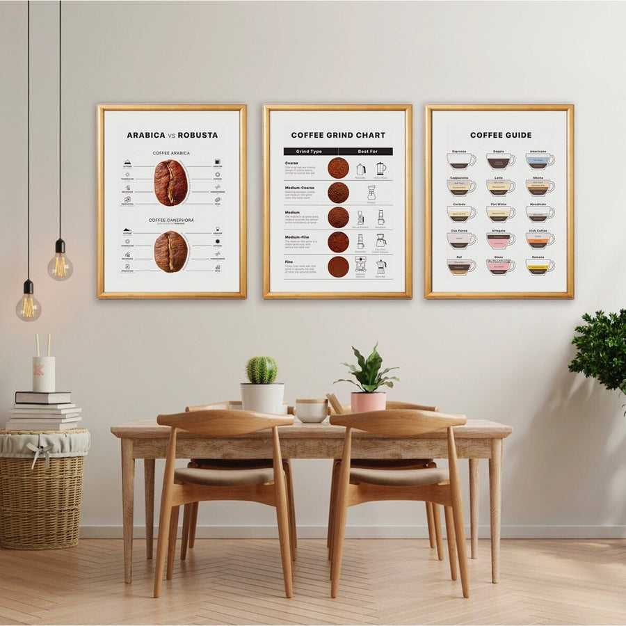 Coffee Guide Set