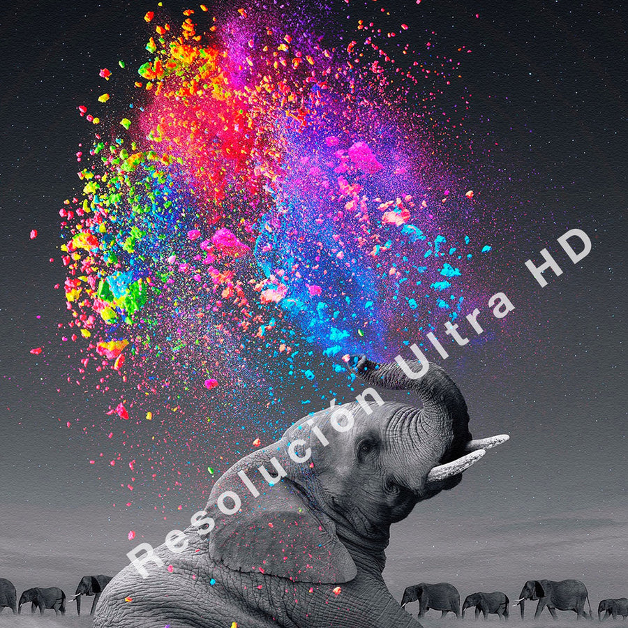 Color Splash Elefante