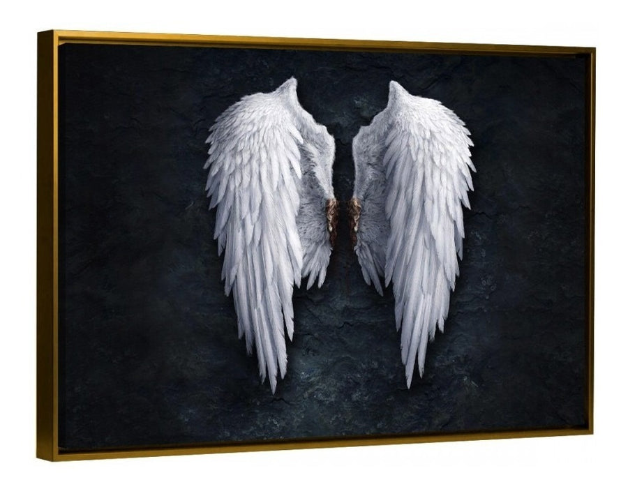 Dark Angel Wings