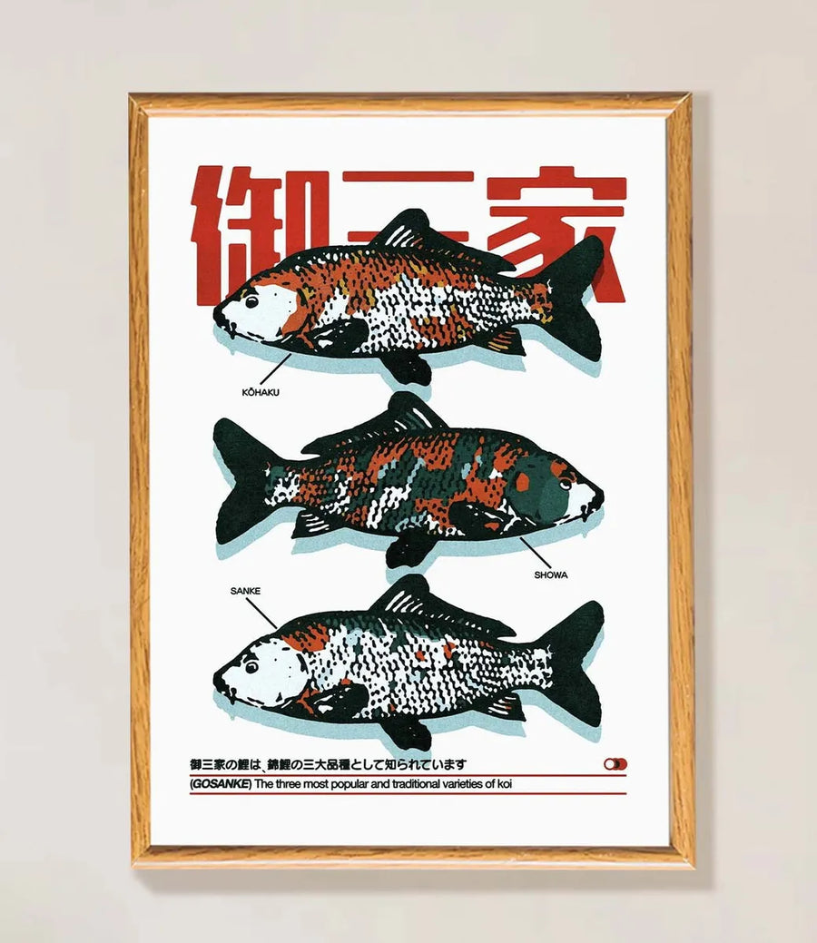 Tipos de peces Koi