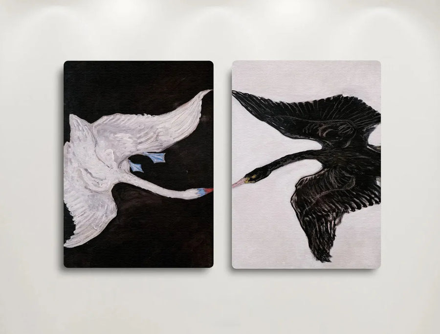 Set Hilma Af Klint Cisnes Swans