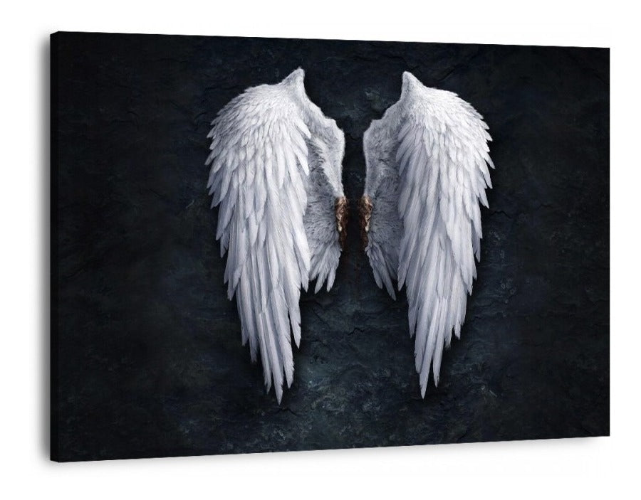 Dark Angel Wings