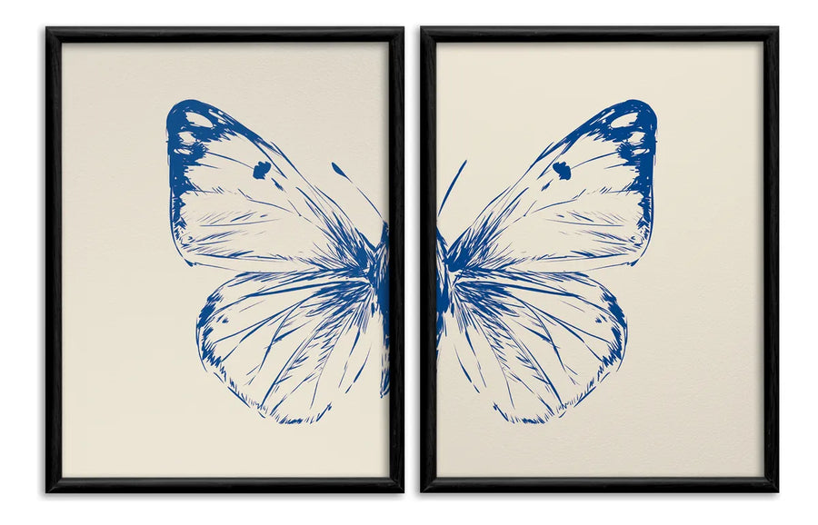 Estudio Mariposa Azul Set