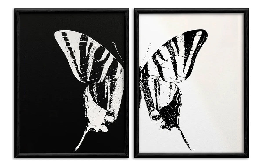 Mariposa Positivo Negativo Set