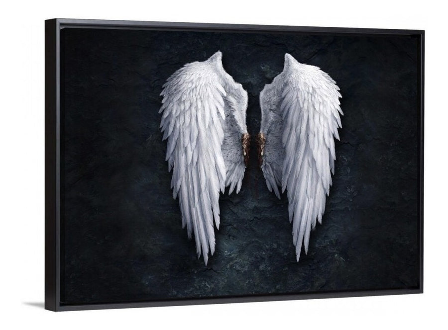 Dark Angel Wings