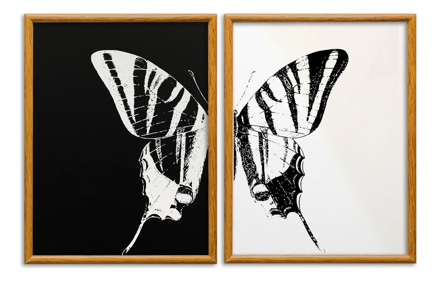Mariposa Positivo Negativo Set