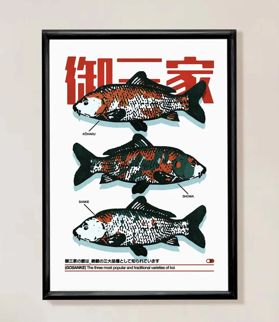 Tipos de peces Koi