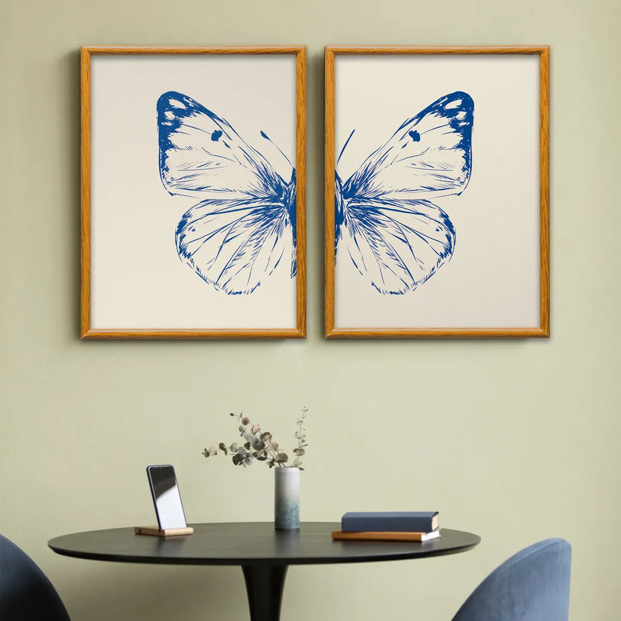 Estudio Mariposa Azul Set
