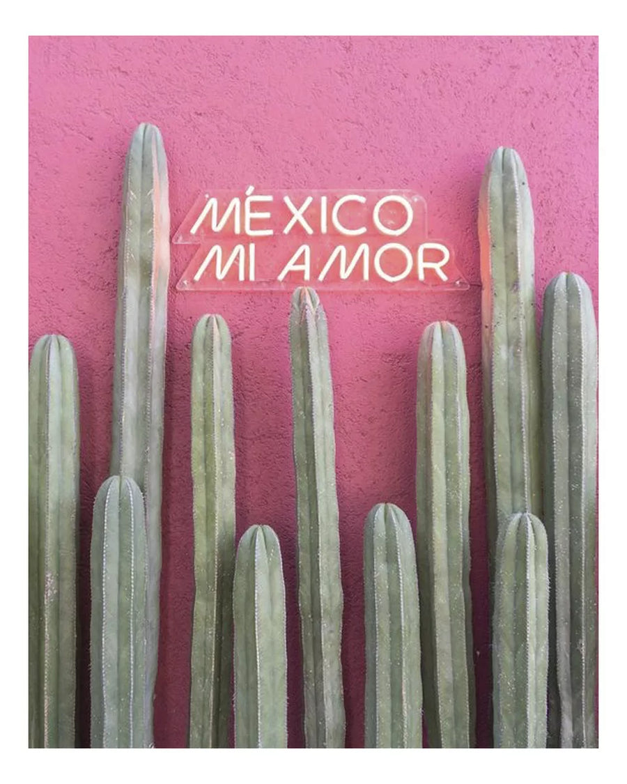 México Mi Amor