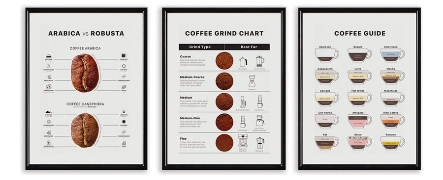 Coffee Guide Set