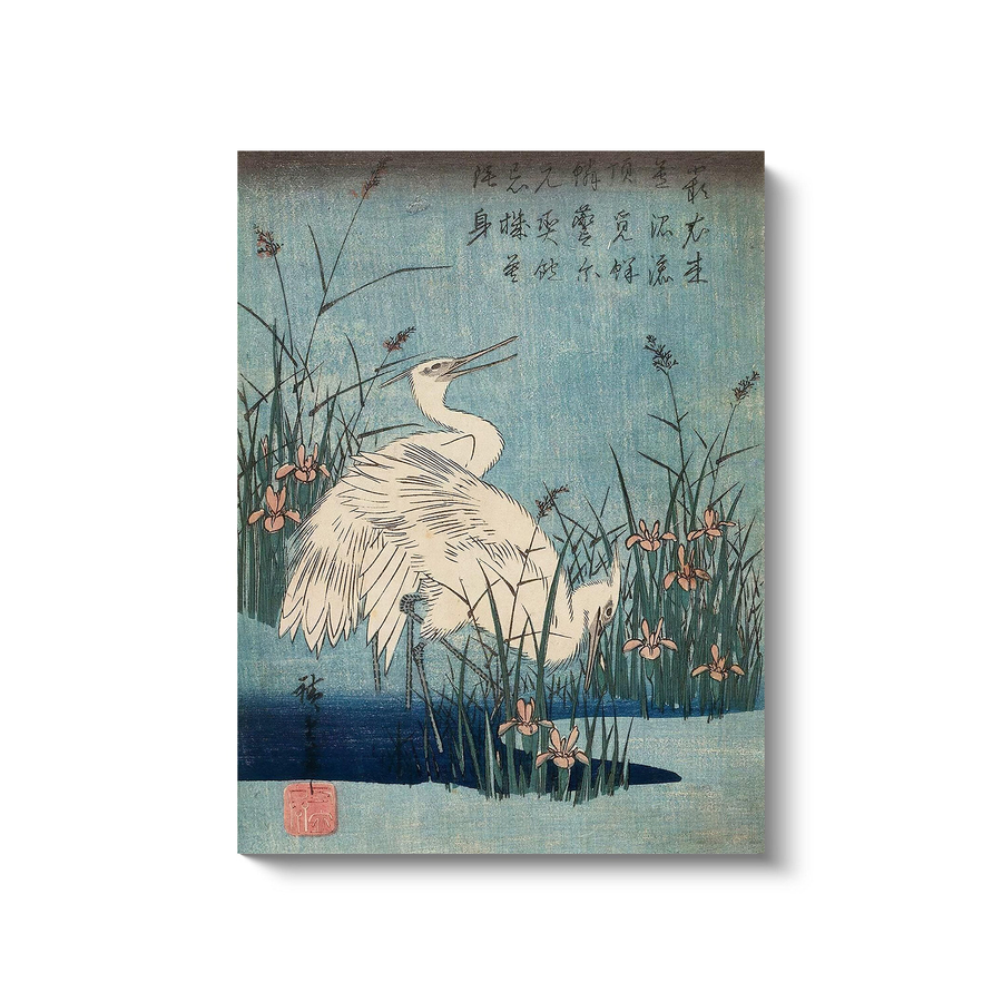 Garza - Tsuchiya Koitsu