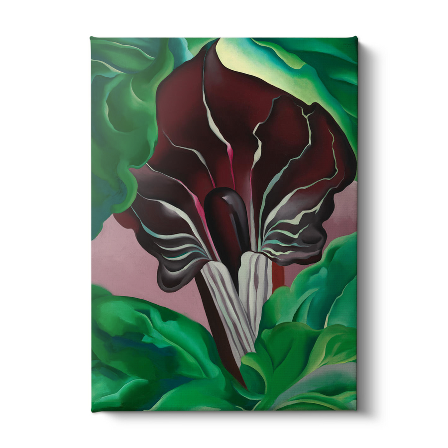 Jack in pulpit - Georgia O'Keeffe
