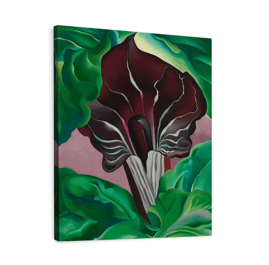 Jack in pulpit - Georgia O'Keeffe
