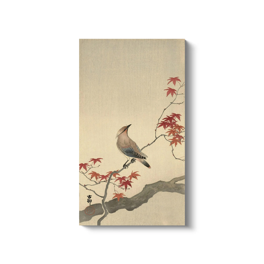 Plague Bird on Maple (Pájaro Japonés) - Ohara Koson, 1936