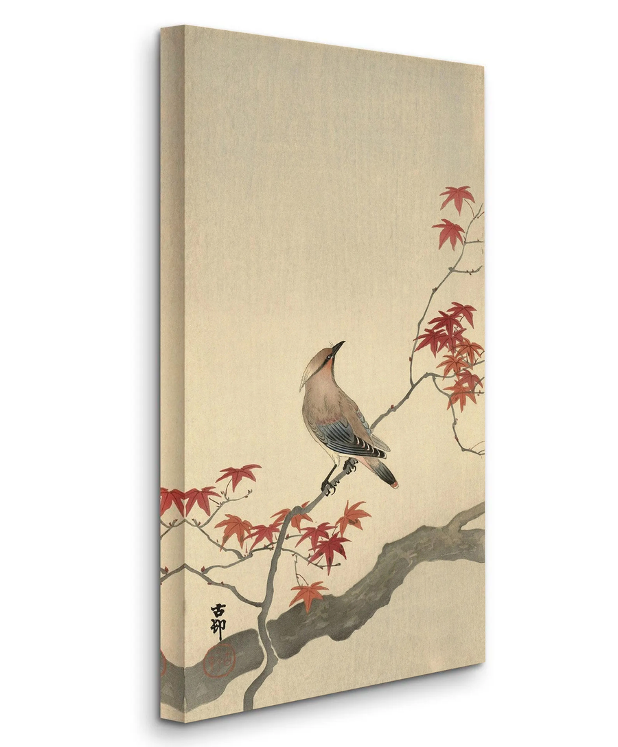 Plague Bird on Maple (Pájaro Japonés) - Ohara Koson, 1936