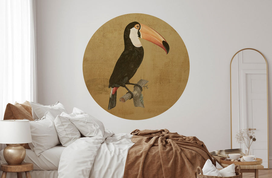 Toco toucan