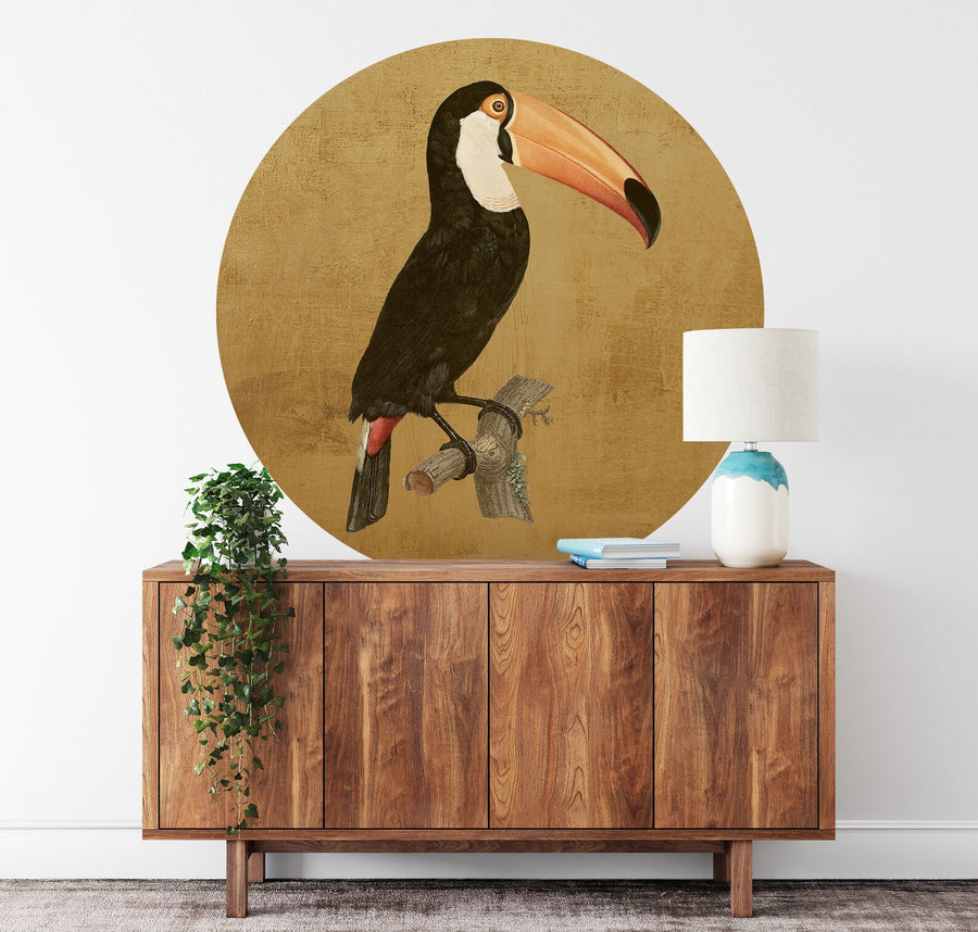 Toco toucan