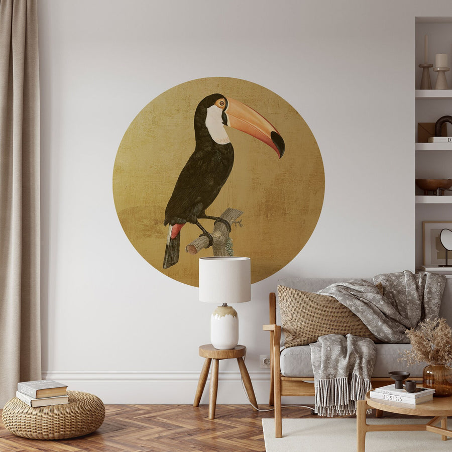 Toco toucan